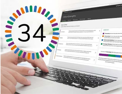 Kaj-Ariane Fischer coaching-schaubild.png