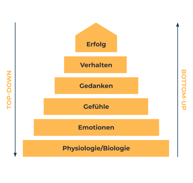 Kaj-Ariane Fischer schaubild1.png